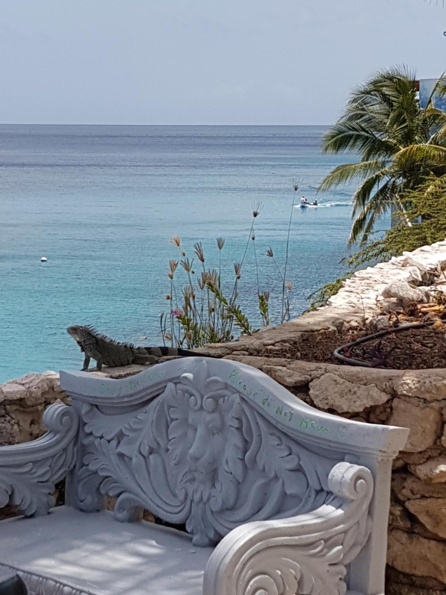 Bon Bini Lagun Curacao Lejlighed Eksteriør billede